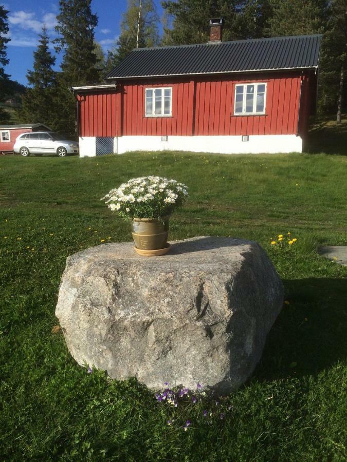 Asgardane Gjestegard Gol Eksteriør billede